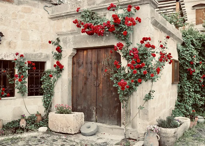 Hotel Sultan Cave 3*